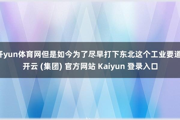开yun体育网但是如今为了尽早打下东北这个工业要道-开云 (集团) 官方网站 Kaiyun 登录入口