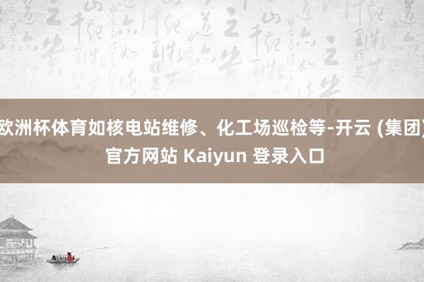 欧洲杯体育如核电站维修、化工场巡检等-开云 (集团) 官方网站 Kaiyun 登录入口