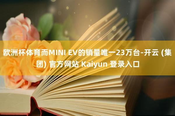 欧洲杯体育而MINI EV的销量唯一23万台-开云 (集团) 官方网站 Kaiyun 登录入口