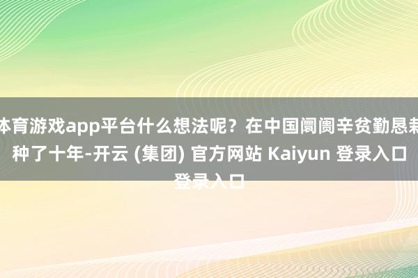 体育游戏app平台什么想法呢？在中国阛阓辛贫勤恳栽种了十年-开云 (集团) 官方网站 Kaiyun 登录入口