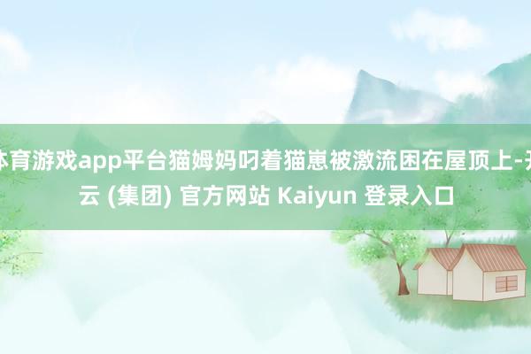 体育游戏app平台猫姆妈叼着猫崽被激流困在屋顶上-开云 (集团) 官方网站 Kaiyun 登录入口