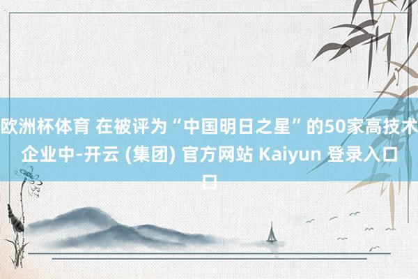 欧洲杯体育 　　在被评为“中国明日之星”的50家高技术企业中-开云 (集团) 官方网站 Kaiyun 登录入口