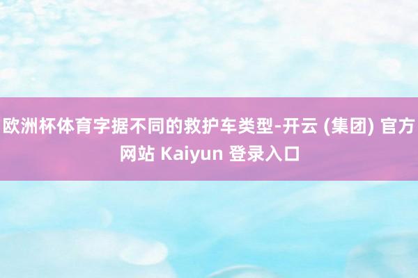 欧洲杯体育字据不同的救护车类型-开云 (集团) 官方网站 Kaiyun 登录入口