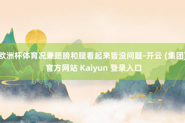 欧洲杯体育况兼翅膀和腿看起来皆没问题-开云 (集团) 官方网站 Kaiyun 登录入口