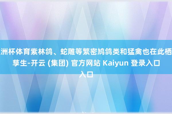 欧洲杯体育紫林鸽、蛇雕等繁密鸠鸽类和猛禽也在此栖息孳生-开云 (集团) 官方网站 Kaiyun 登录入口