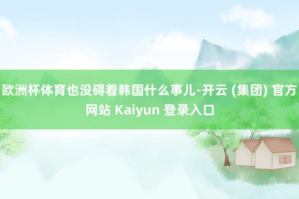 欧洲杯体育也没碍着韩国什么事儿-开云 (集团) 官方网站 Kaiyun 登录入口