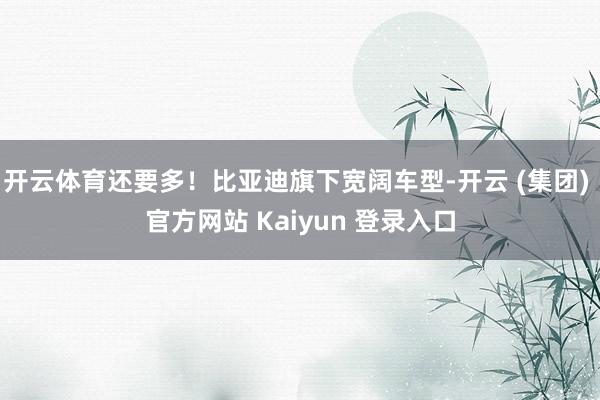 开云体育还要多!比亚迪旗下宽阔车型-开云 (集团) 官方网站 Kaiyun 登录入口