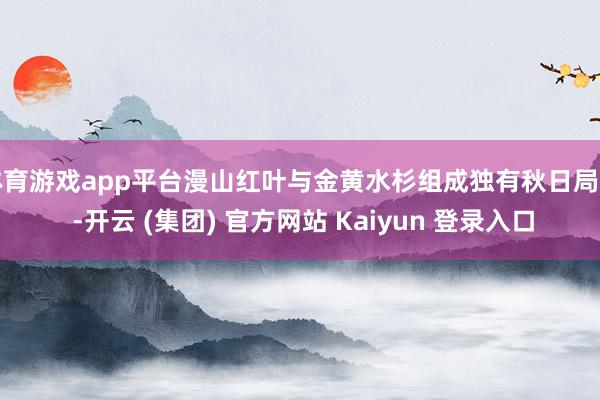体育游戏app平台漫山红叶与金黄水杉组成独有秋日局面 -开云 (集团) 官方网站 Kaiyun 登录入口