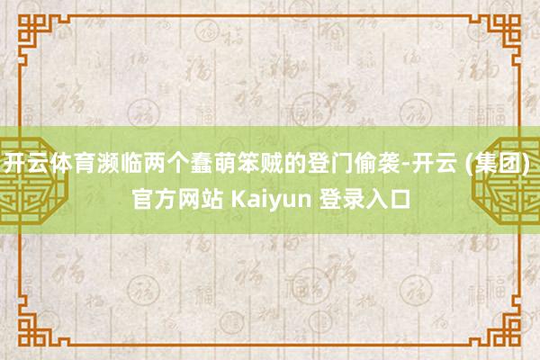 开云体育濒临两个蠢萌笨贼的登门偷袭-开云 (集团) 官方网站 Kaiyun 登录入口