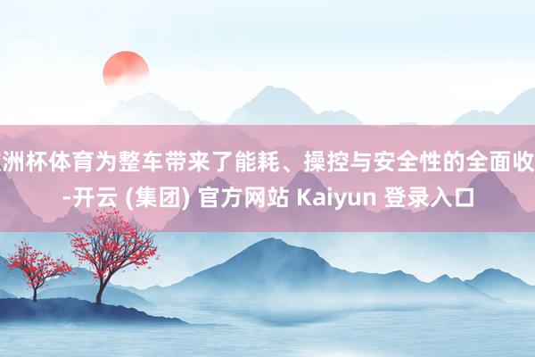 欧洲杯体育为整车带来了能耗、操控与安全性的全面收益-开云 (集团) 官方网站 Kaiyun 登录入口