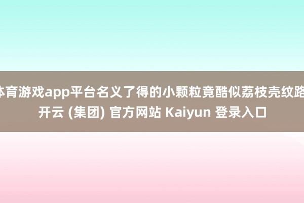 体育游戏app平台名义了得的小颗粒竟酷似荔枝壳纹路-开云 (集团) 官方网站 Kaiyun 登录入口